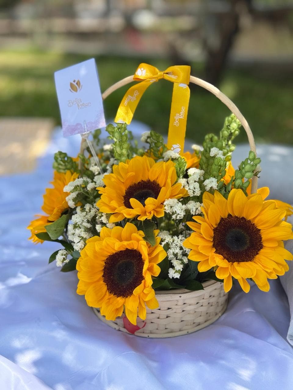 Girasoles