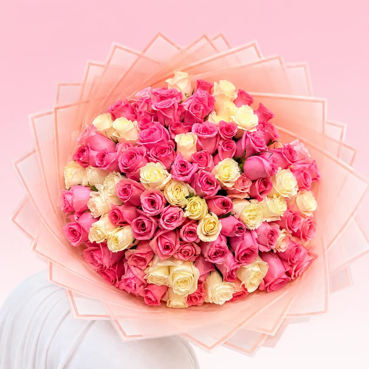 75 ROSAS