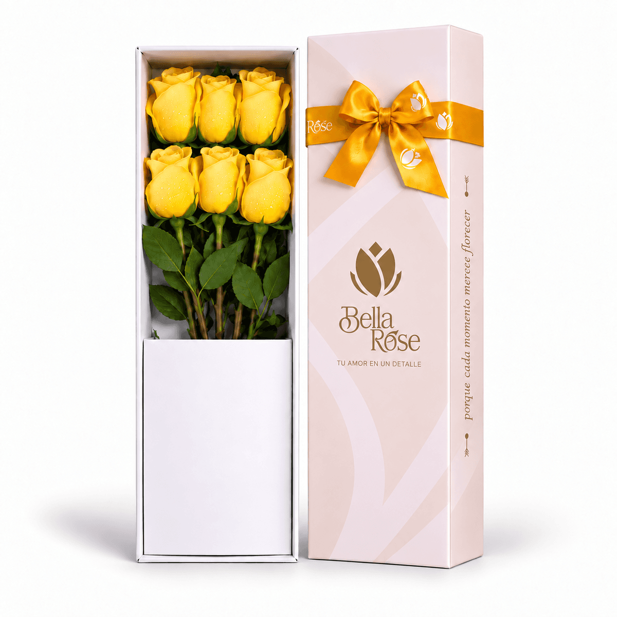 CAJA 6 ROSAS PREMIUM